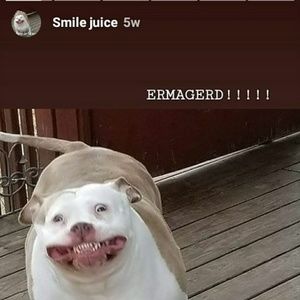 Meet your Posher, Ericka